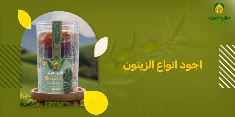 أفضل أنواع الزيتون في السعودية: اختيارك لزيتون ذو جودة استثنائية