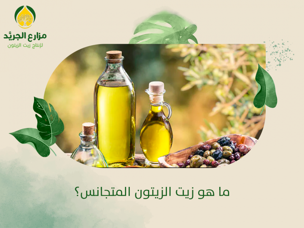 ما هو زيت الزيتون المتجانس؟