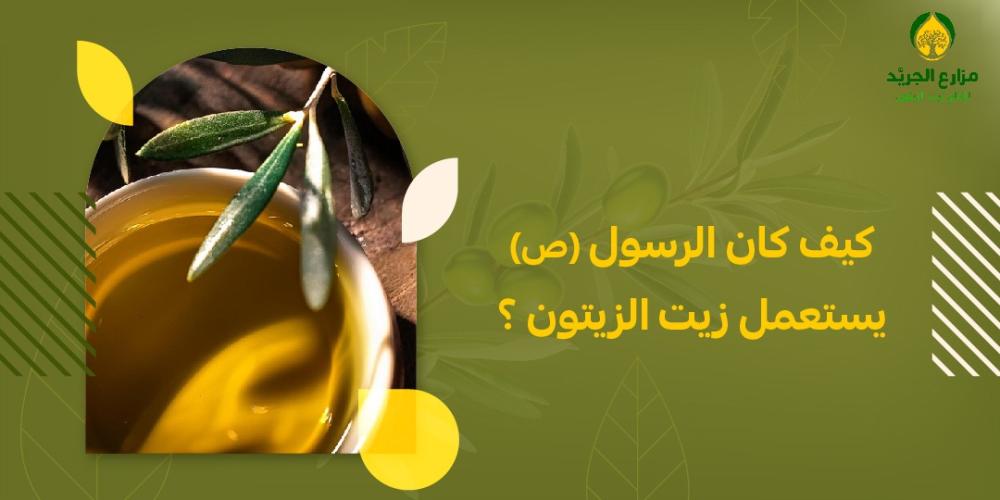 كيف كان الرسول يستعمل زيت الزيتون