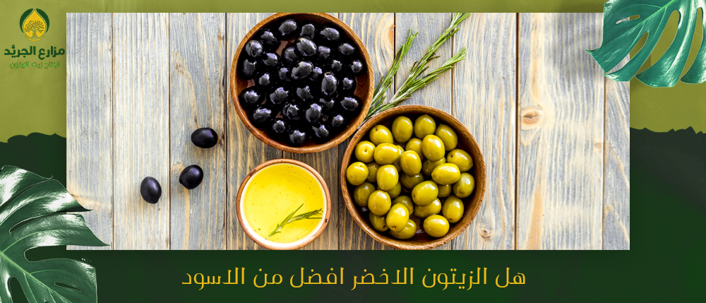 هل الزيتون الاخضر افضل من الاسود ؟