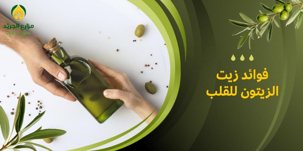 فوائد زيت الزيتون للقلب: سر الحفاظ على صحة القلب في كل وجبة