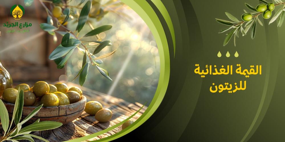 القيمة الغذائية للزيتون