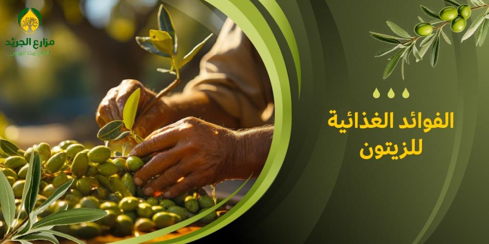 ما هي الفوائد الغذائية للزيتون؟