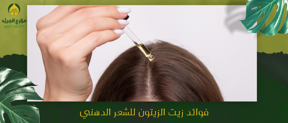 فوائد زيت الزيتون للشعر الدهني - أفضل 5 فوائد | الجريد
