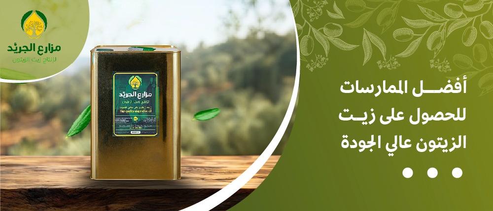 أفضل الممارسات للحصول على زيت الزيتون عالي الجودة