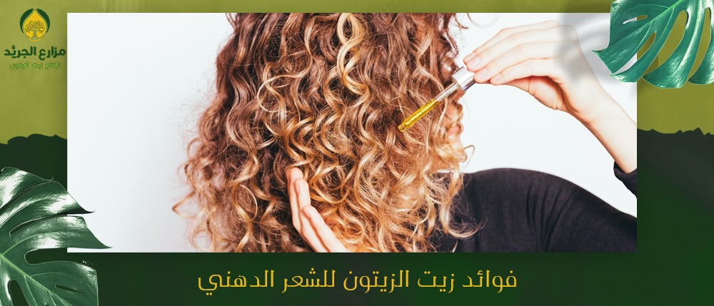 فوائد زيت الزيتون للشعر الدهني - العناية بالشعر الكيرلي | الجريد