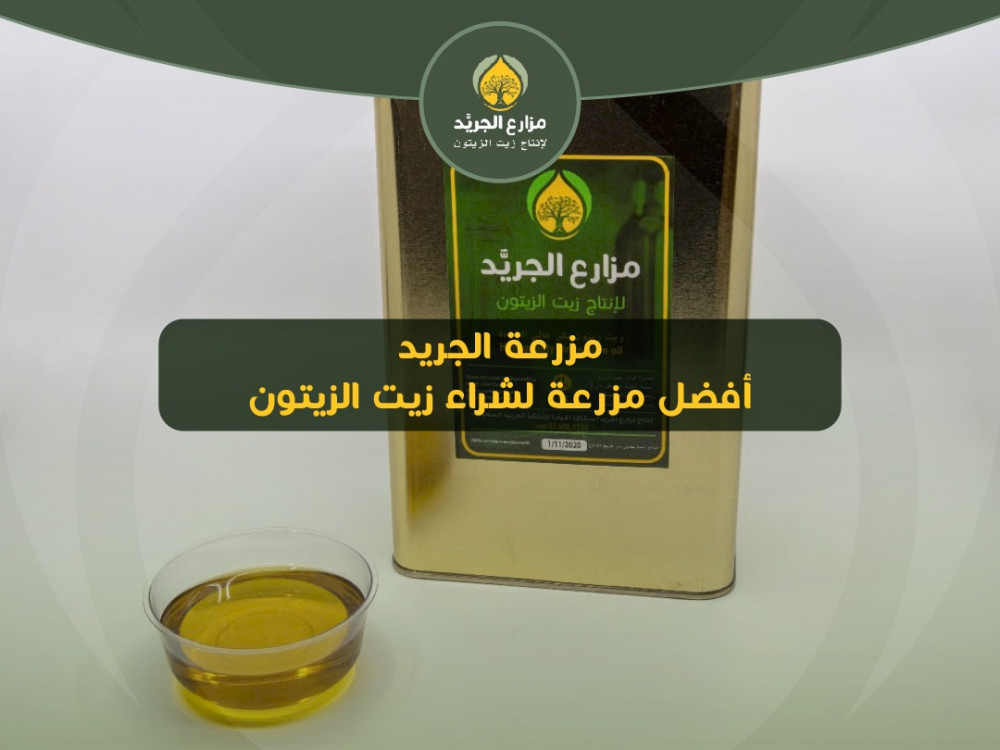 مزرعة الجريد أفضل مزرعة لشراء زيت الزيتون