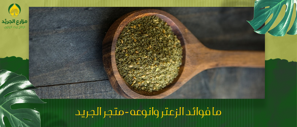 ما فوائد الزعتر وانوعه - متجر الجريد