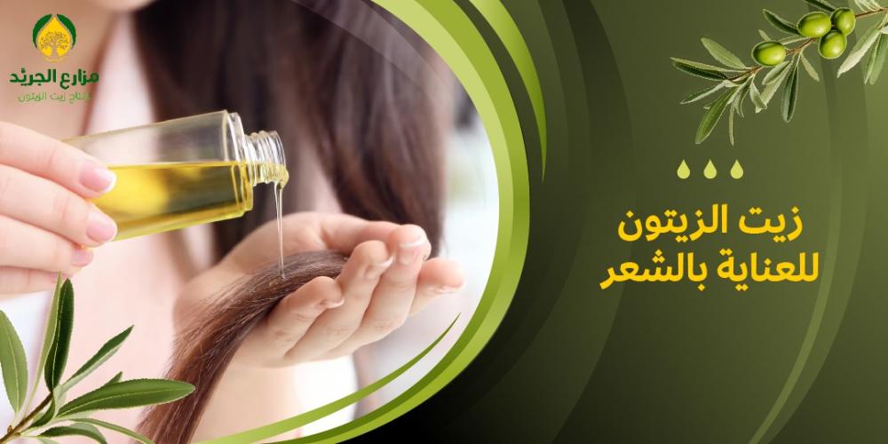 كيفية استخدام زيت الزيتون للعناية بالشعر ؟