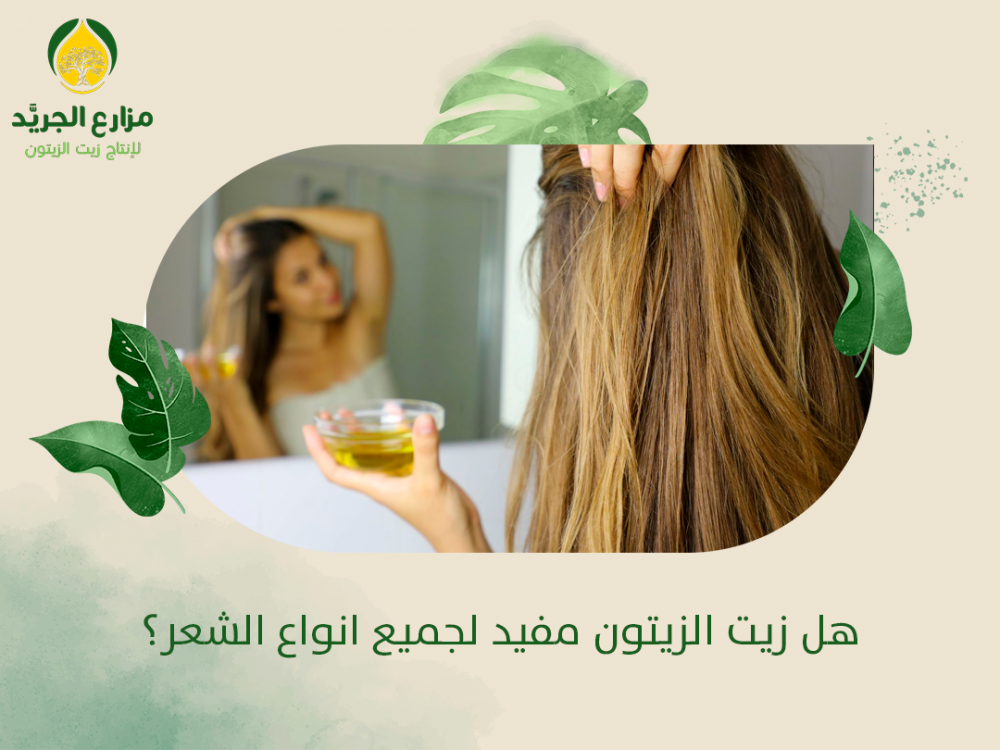 هل زيت الزيتون مفيد لجميع انواع الشعر؟