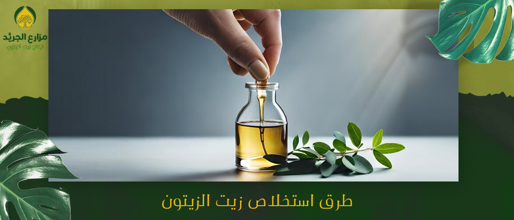 كيف تؤثر طرق استخلاص زيت الزيتون على جودة أنواعه؟