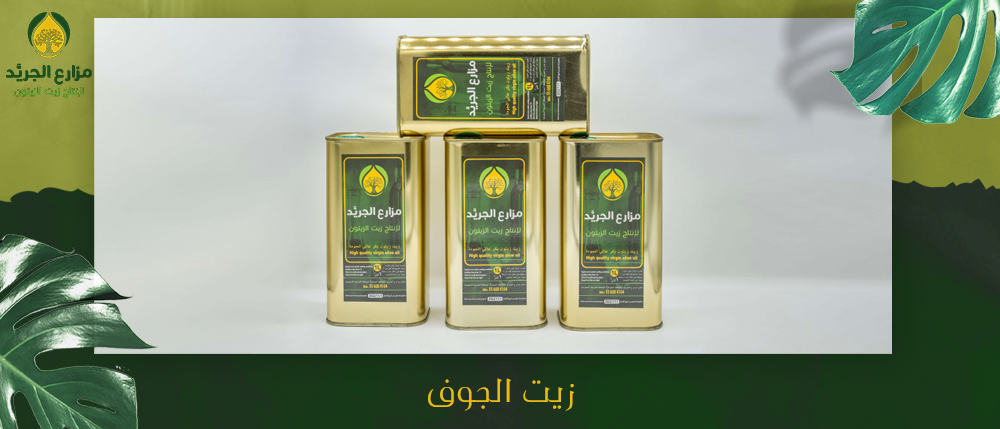 زيت الجوف: كيف يميزه مناخ الجوف وتربتها عن غيره؟