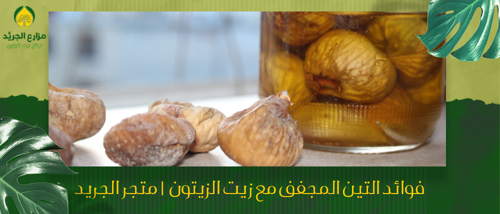 فوائد التين المجفف مع زيت الزيتون | متجر الجريد