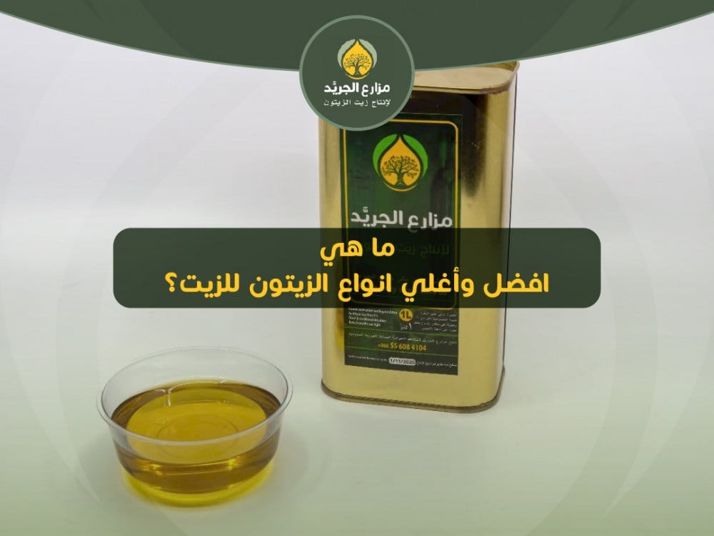 ما هي افضل وأغلي انواع الزيتون للزيت؟