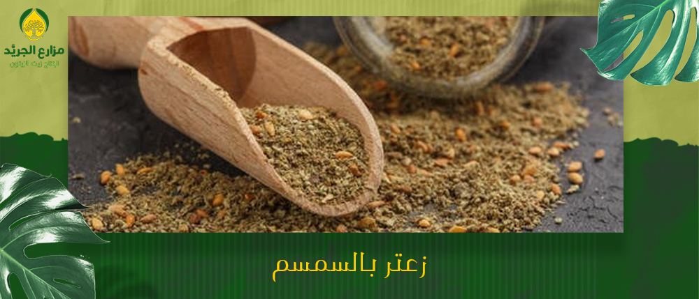 فوائد زعتر بالسمسم المطحون | أهم 5 فوائده الصحية