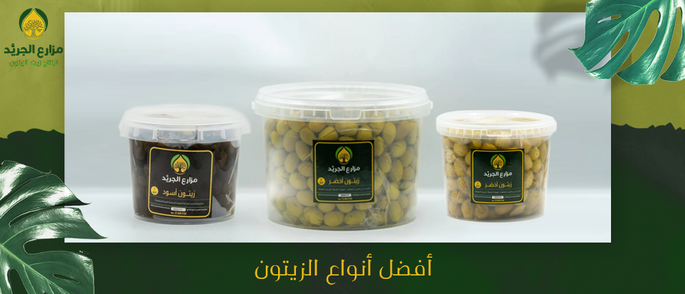 أفضل أنواع الزيتون - وكيفية استخداماته في الطعام وفوائده