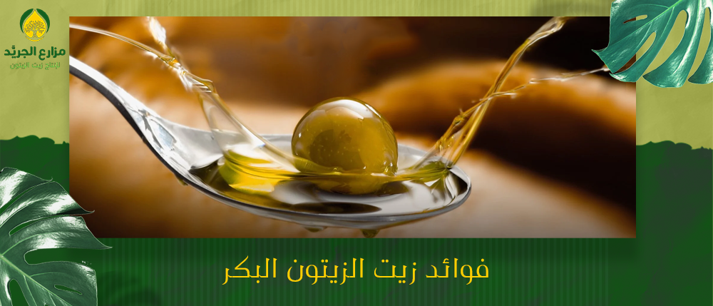 ما هي فوائد زيت الزيتون البكر للجسم؟
