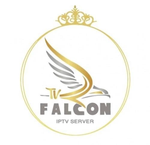 اشتراك فالكون 3 شهور