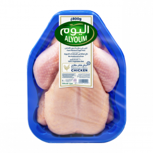 دجاج اليوم مبرد 800 جرام