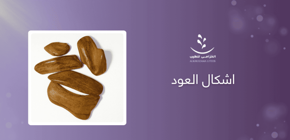 عود : 5 ابرز اشكال العود