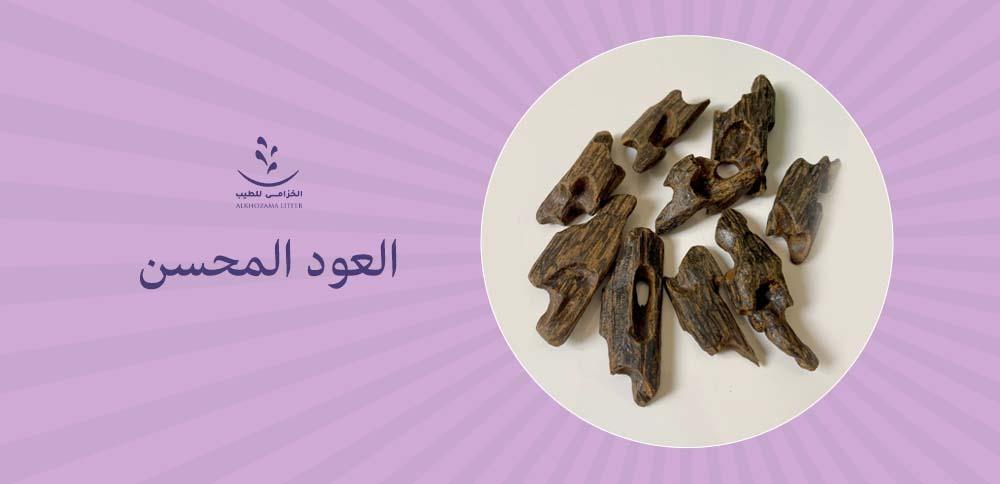 العود المحسن