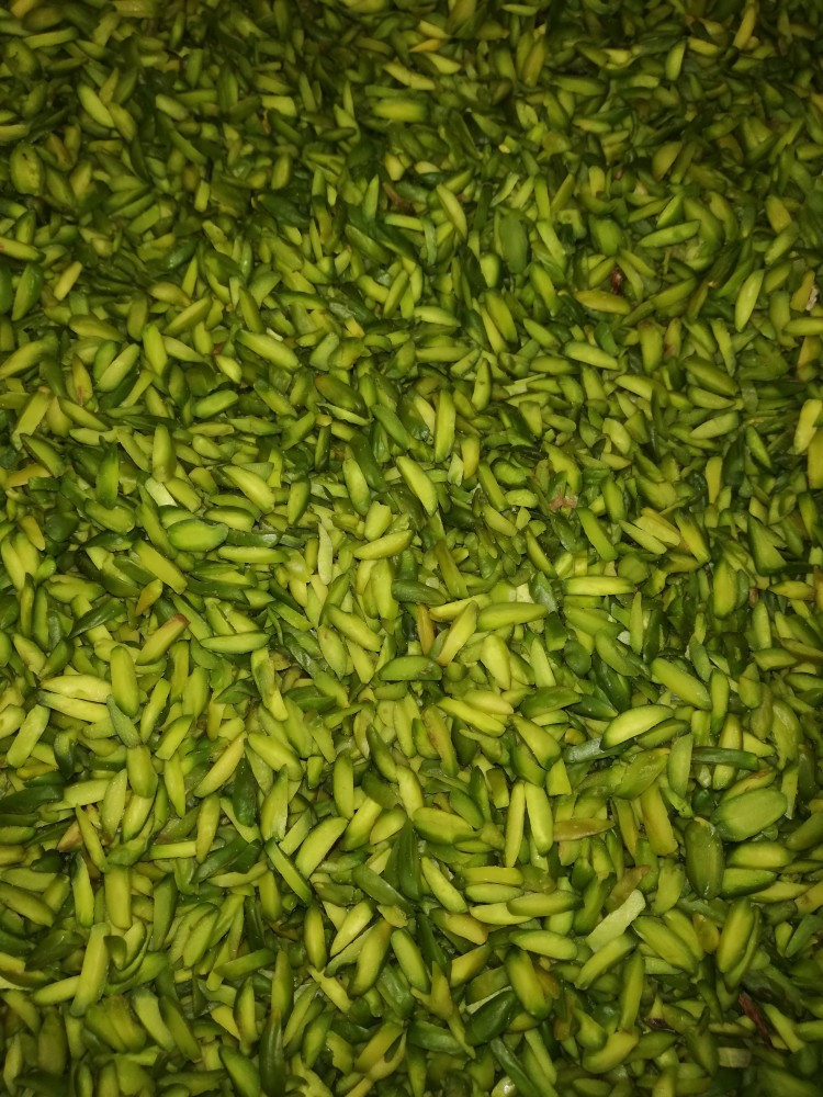 فستق صنوبري درجة أولى 200 جرام