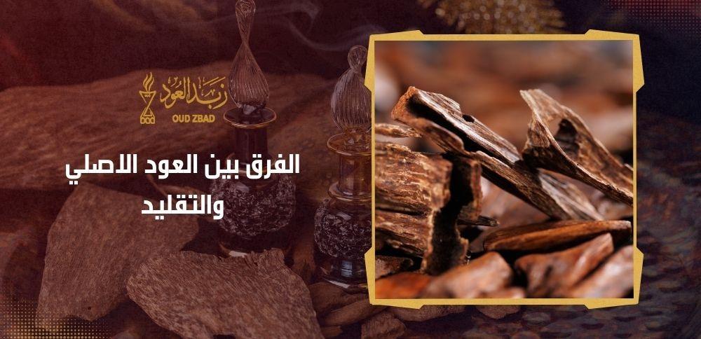 الفرق بين العود الاصلي والتقليد