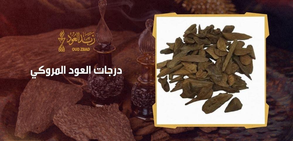 درجات العود المروكي