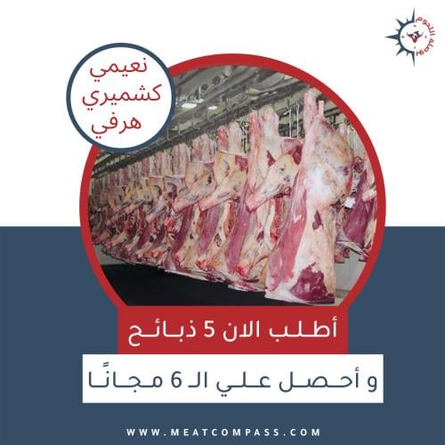 عرض الهرفى 5+1 مجاناً