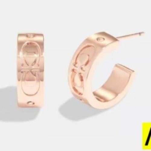 Signature Huggie Earrings