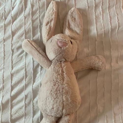 Bunny كبير بني فاتح