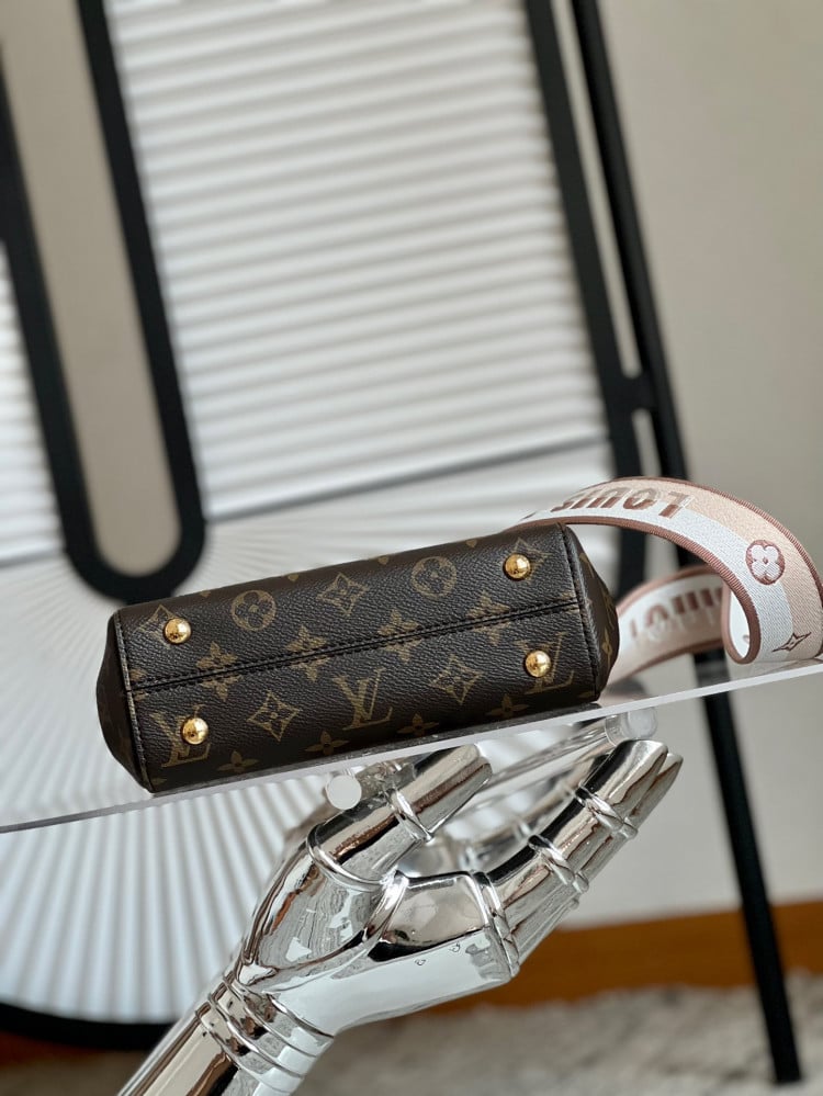 لوي فيتون Cluny Mini مقاس 20cm