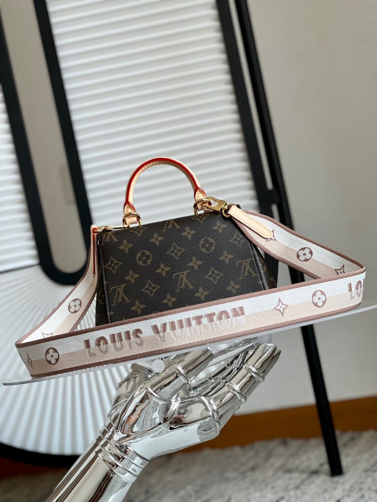 لوي فيتون Cluny Mini مقاس 20cm