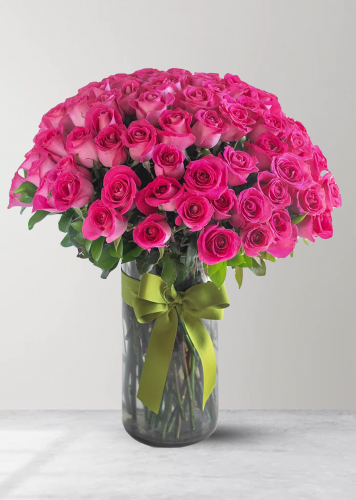 فازة 100 يوم