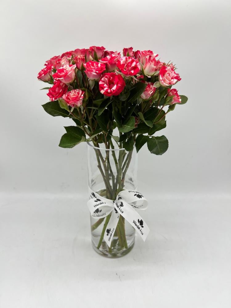 سعاد 3