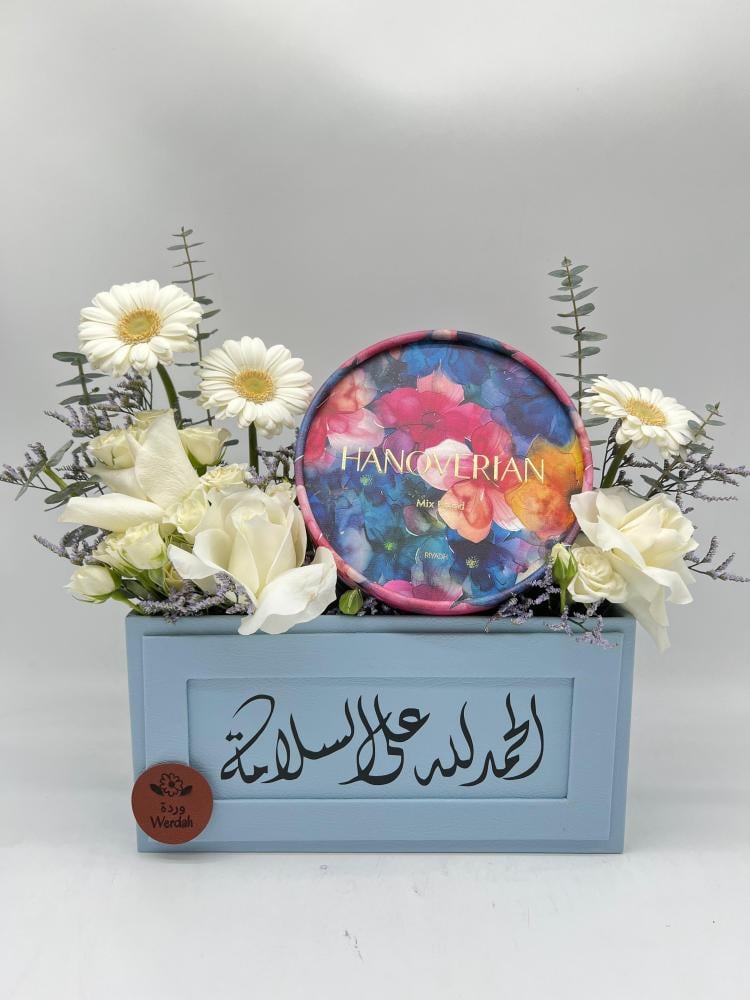 البشائر
