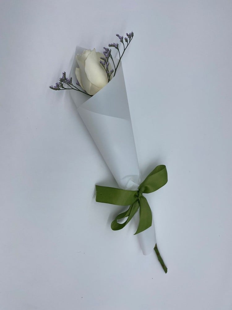 توزيعات