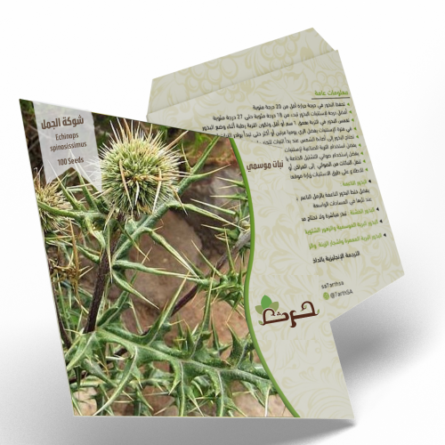 شوكة الجمل 100 بذرة من بذور شوك الجمل Echinops spi...