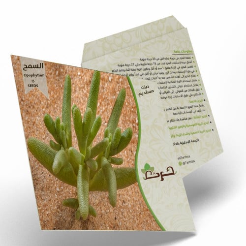 السمح من بذور السمح Opophytum