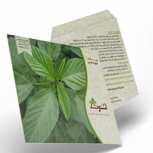 ملوخية صعيدي 10000 بذرة من الملوخية الصعيدي Green...
