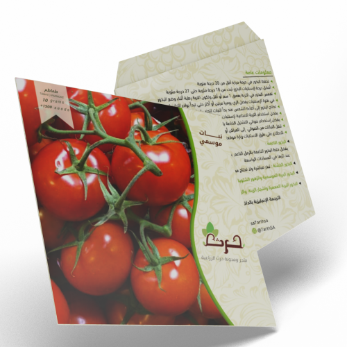 طماطم 1500 بذرة من الطماطم TOMATO PAKMORE