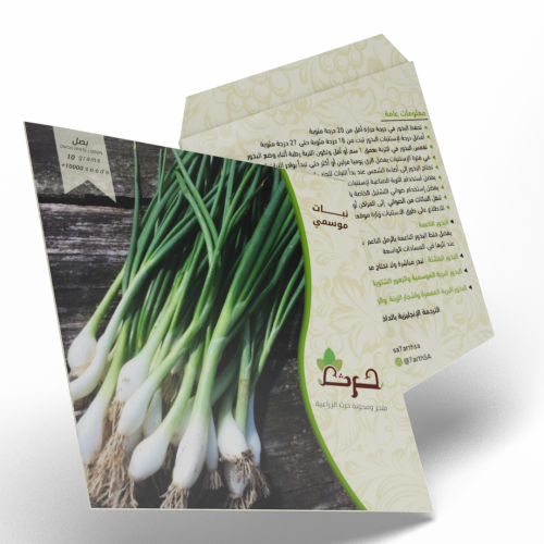 بصل 10000 بذرة من البصل ONION WHITE LISBON