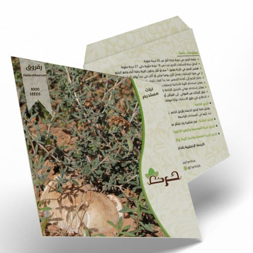 الرقروق 1000 بذرة من بذور الرقروق او القصيص المصاح...