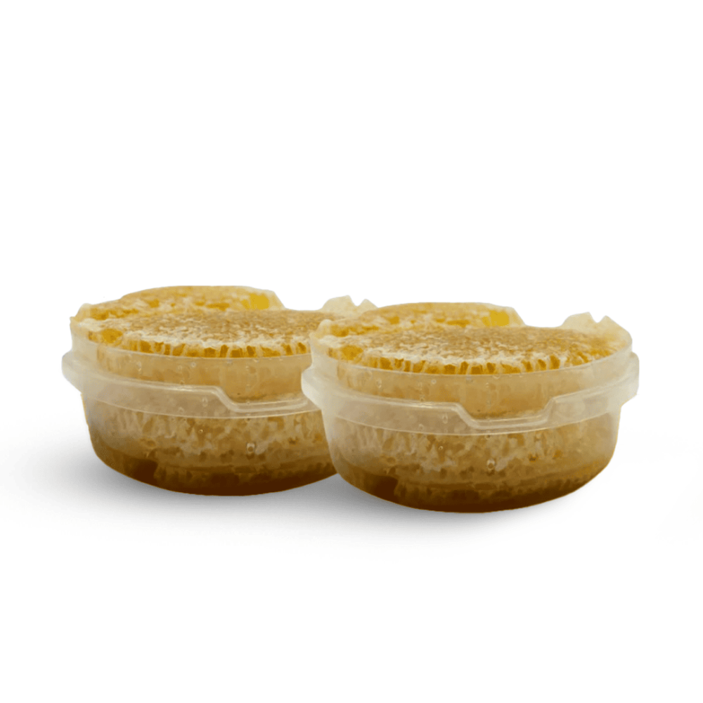 2 أقراص عسل شمع زهور برية بلدية بخصم 32% + شحن مجاني