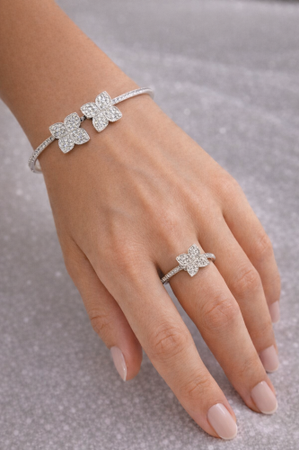 اسوارة مع خاتمها