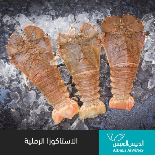 1 كيلو الاستاكوزا الرملية