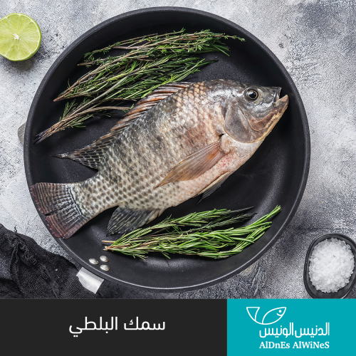 1 كيلو سمك بلطي