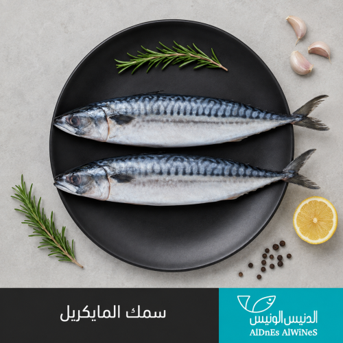 1 كيلو سمك الماكريل
