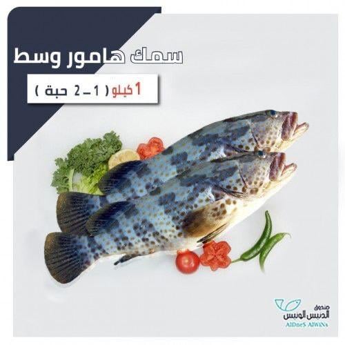 1 كيلو سمك هامور وسط
