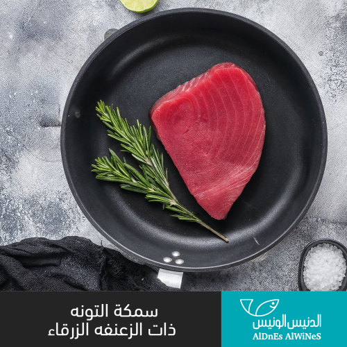 500 جرام سمكة تونه ذات الزعفنه الزرقاء
